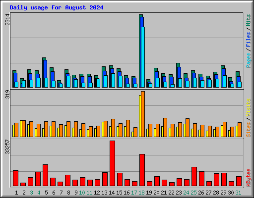 Daily usage for August 2024