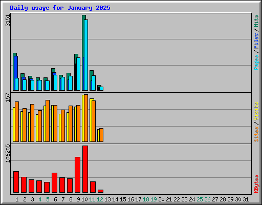 Daily usage for January 2025