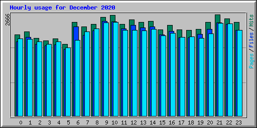 Hourly usage for December 2020