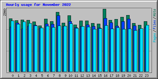 Hourly usage for November 2022