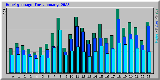 Hourly usage for January 2023