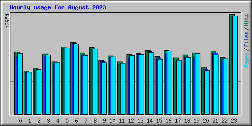 Hourly usage for August 2023