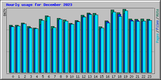 Hourly usage for December 2023