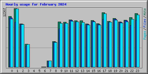 Hourly usage for February 2024