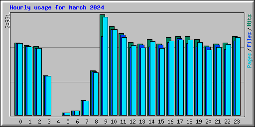 Hourly usage for March 2024