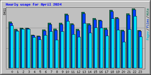 Hourly usage for April 2024