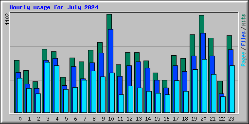 Hourly usage for July 2024