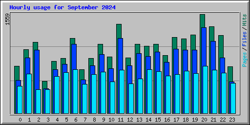 Hourly usage for September 2024