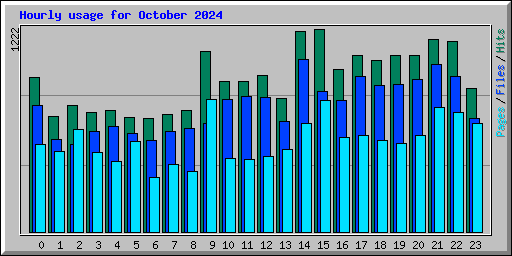 Hourly usage for October 2024