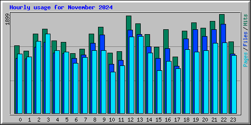 Hourly usage for November 2024