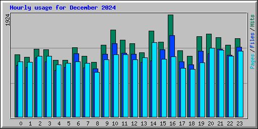 Hourly usage for December 2024