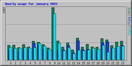 Hourly usage for January 2025